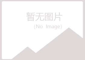 上海夏岚会计有限公司